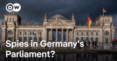 Has Germany’s parliament failed to implement proper security measures? | DW News
