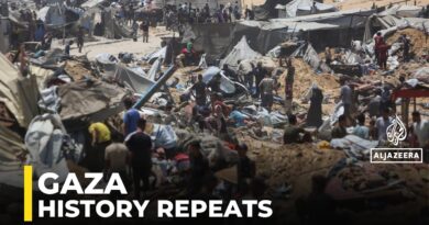 Historian on Gaza: ‘A pattern repeated through history’