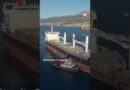 Houthi rebels attack cargo ships on key Red Sea shipping route | DW News