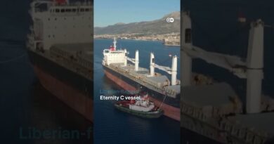 Houthi rebels attack cargo ships on key Red Sea shipping route | DW News