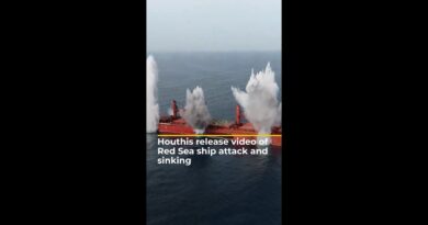 Houthis release video of Red Sea ship attack and sinking | AJ #shorts