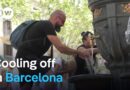 How Barcelona protects its citizens from deadly heat waves | Focus on Europe