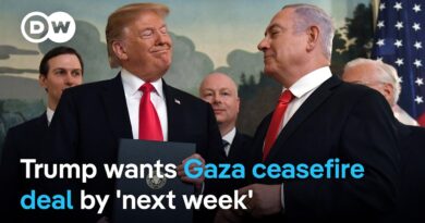 How can Trump, Netanyahu achieve ceasefire without Arab world’s involvement? | DW News