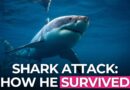 How Do You Survive a Shark Attack? Ask the Guy Who Actually Did