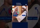 How gold keeps Sudan at war | DW Shorts