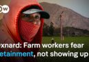 How ICE raids send shockwaves through local communities | DW News