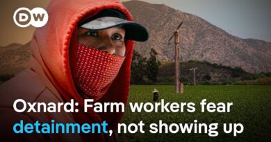 How ICE raids send shockwaves through local communities | DW News