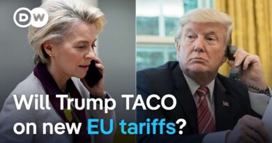 How might the EU respond to Trump’s 30% tariff threat? | DW News