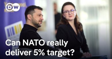 How one country’s wrangling raises questions over NATO’s goals | DW News