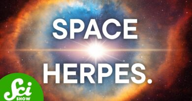 How Space Awakens Sleeping Viruses