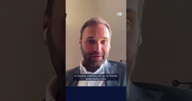 How the far-right AfD shapes political narratives | Berlin Briefing Podcast