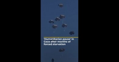 ‘Humanitarian pause’ in Gaza after months of forced starvation | AJ #shorts