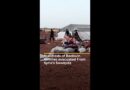 Hundreds of Bedouin families evacuated from Syria’s Suwayda | AJ #shorts