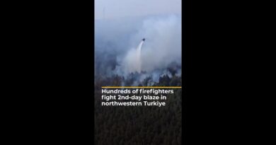 Hundreds of firefighters fight 2nd-day blaze in northwestern Turkiye