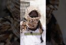 ‘I killed countless people.’ | DW News