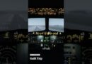 I loved flying but I can’t keep burying my head in the sand: Guilt Trip