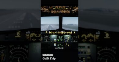 I loved flying but I can’t keep burying my head in the sand: Guilt Trip