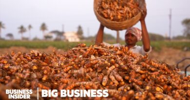 India Grows 80% Of The World’s Turmeric. So Why Are Farmers Struggling? | Big Business