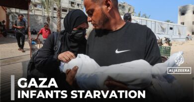 Infant dies of malnutrition as Gaza famine worsens