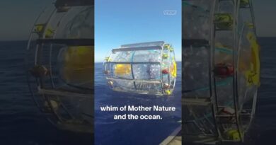 Inside the hamster wheel of doom