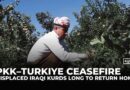 Iraq’s displaced Kurds eye return after Kurdish group PKK declares ceasefire with Turkiye