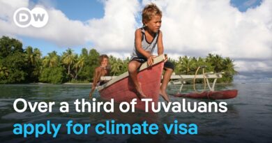 Is Australia’s climate visa a model for the world? | DW News