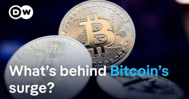 Is government involvement good for Crypto backers? | DW News