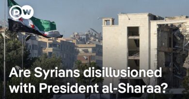 Is Syria’s interim government quelling or fueling sectarian violence? | DW News