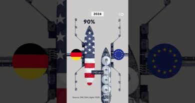Is the US becoming the EU’s new Russia for gas? | DW News