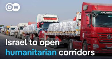 Israel allows more aid into Gaza amid reports of starvation | DW News
