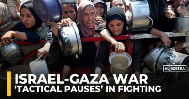 Israel announces ‘tactical pauses’ in parts of Gaza, designates secure routes for aid delivery