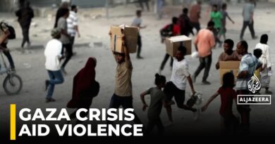 Israel using private military contractors at aid points to ‘outsource genocide’