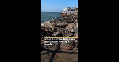 Israeli airstrike hits Gaza beach cafe, killing 22 people | AJ #shorts