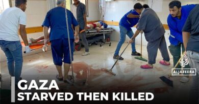Israeli army targets food sites: At least 34 Palestinians killed waiting for food