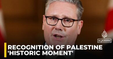 Israeli government is wrecking the two-state solution: UK MP
