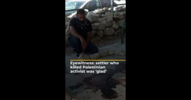 Israeli settler arrested in fatal shooting was ‘glad about it’ | AJ #shorts
