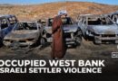 Israeli settler violence escalates in the occupied West Bank with growing impunity