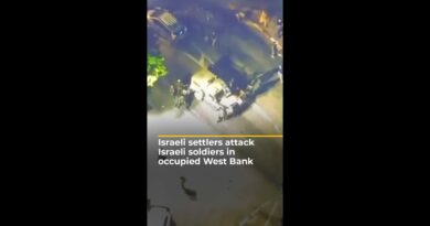 Israeli settlers attack Israeli soldiers in occupied West Bank | AJ #shorts