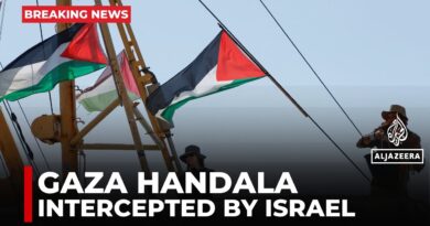 Israeli soldiers have boarded Gaza-bound Handala
