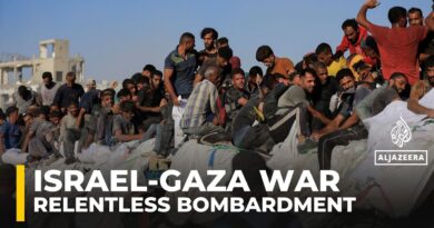Israeli strikes continue across Gaza as hunger crisis deepens despite ‘tactical pauses’