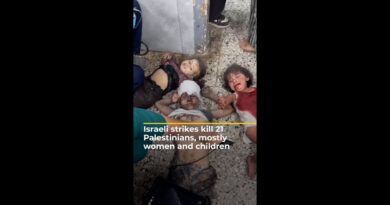 Israeli strikes kill 21 Palestinians, mostly women and children | AJ #shorts