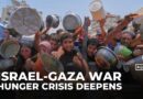 Israeli strikes kill 63 in Gaza despite ‘pauses’, as hunger crisis deepens