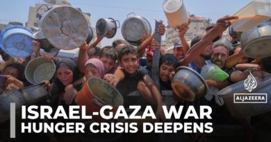 Israeli strikes kill 63 in Gaza despite ‘pauses’, as hunger crisis deepens
