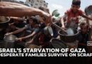 Israel’s starvation of Gaza: Desperate families survive on scraps as aid fails to meet rising demand