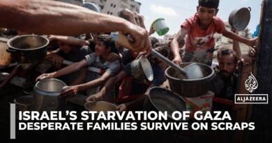 Israel’s starvation of Gaza: Desperate families survive on scraps as aid fails to meet rising demand