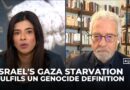 Israel’s starvation of Gaza fulfils UN genocide definition: Holocaust scholar