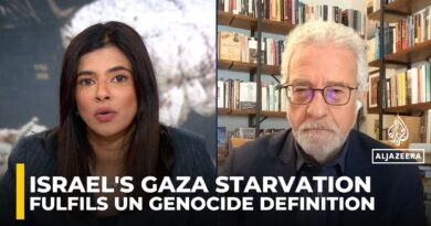 Israel’s starvation of Gaza fulfils UN genocide definition: Holocaust scholar