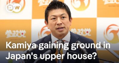 ‘Japanese first’: Japan’s minority gov’t projected to lose control of upper house to far-right party