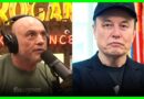 Joe Rogan SLOBBERS Elon & SHATTERS All Meat Riding Records | The Kyle Kulinski Show