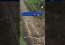 Landslide causes train to derail in Germany, killing three | DW News